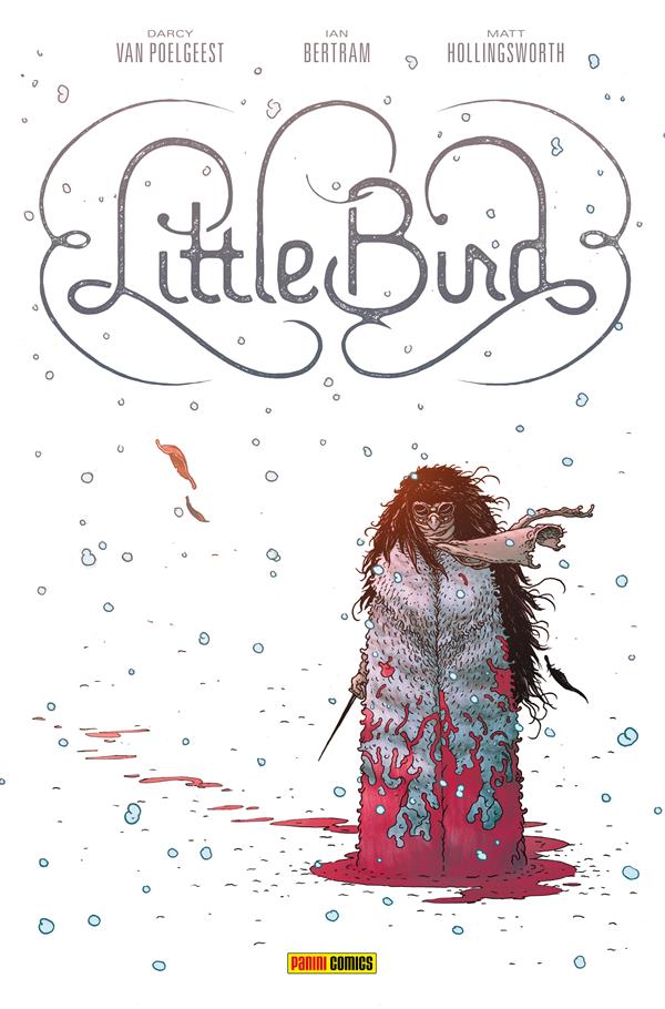 Little Bird cover